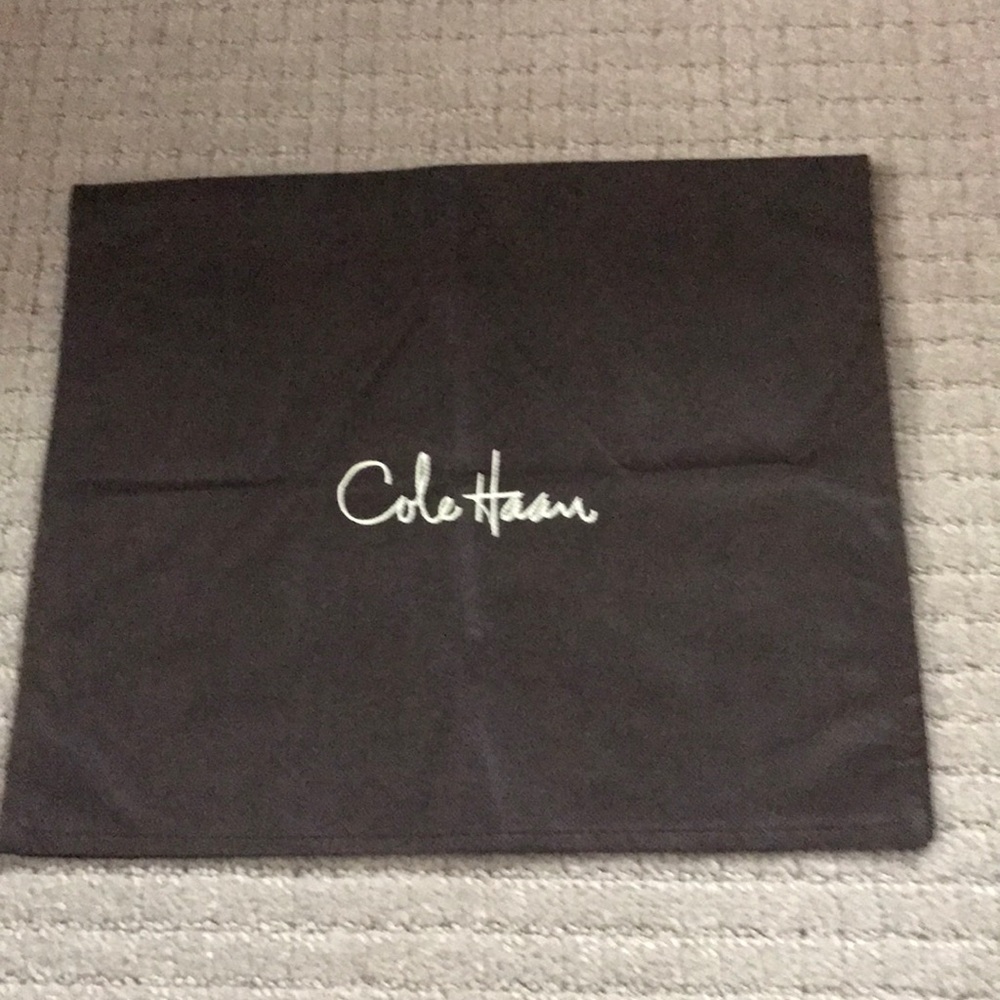 Cole Haan brown shoe duster bag storage